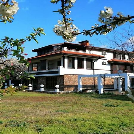 Къща За Гости "Мечта" Lyutibrod Exterior foto